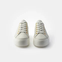 Paul Green /Gold Trainer