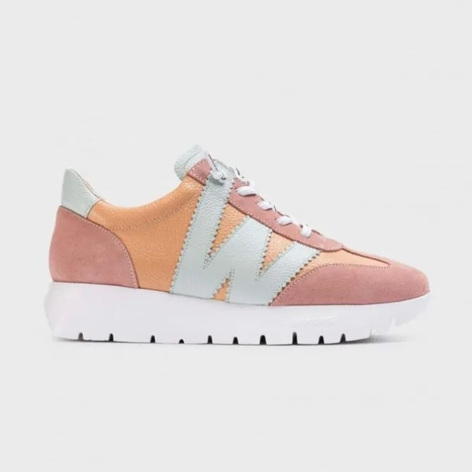 Wonders Meri Peach Trainer