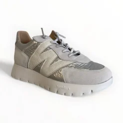 Wonders Oslo /Grey Trainer
