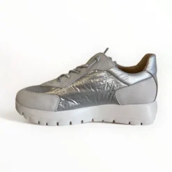 Wonders Oslo /Grey Trainer